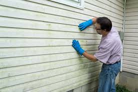 Best Aluminum Siding Installation  in Park City, TN